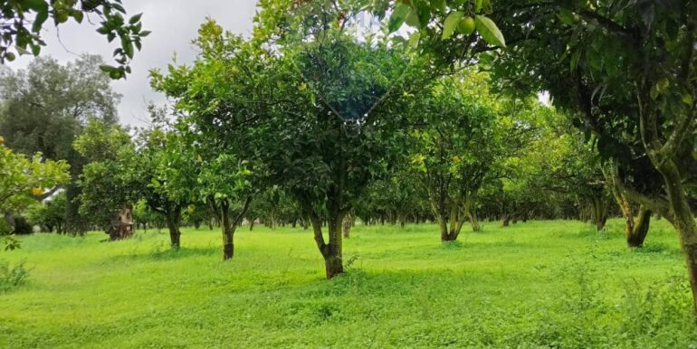 2025110985256-934781-25