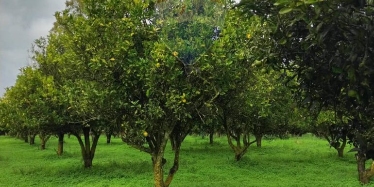 2025110985300-934781-26