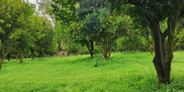 2025110985303-934781-27