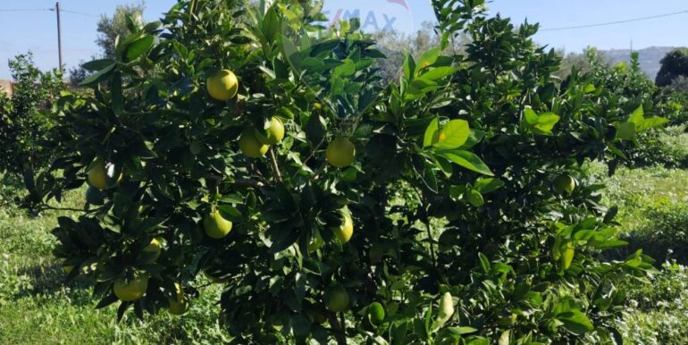 2025110985653-963028-19