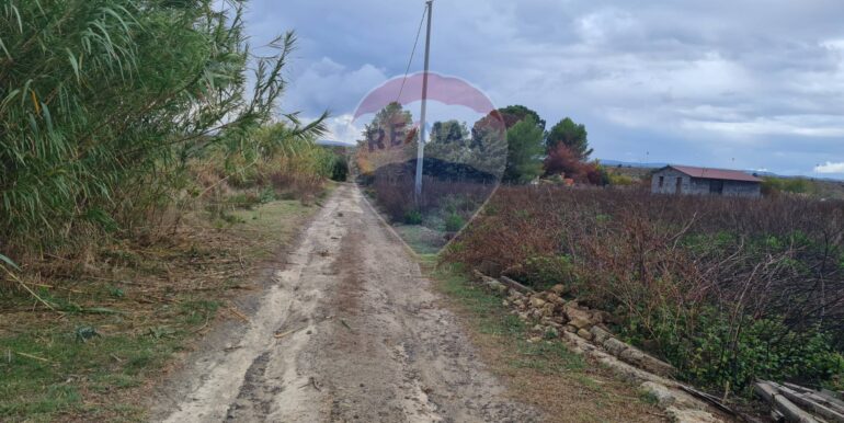 20251111162553-1000182-1