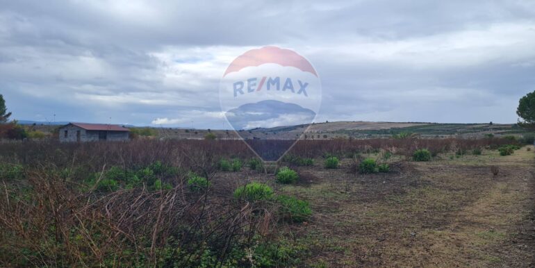 20251111174352-1000222-6