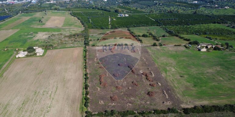 2025111180729-996849-2