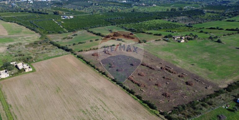 2025111180732-996849-3