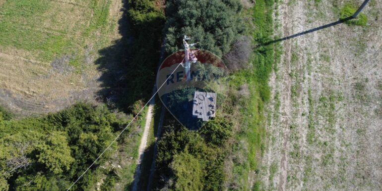 2025111180741-996849-6