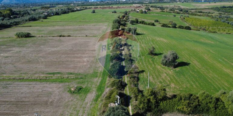 2025111180744-996849-7