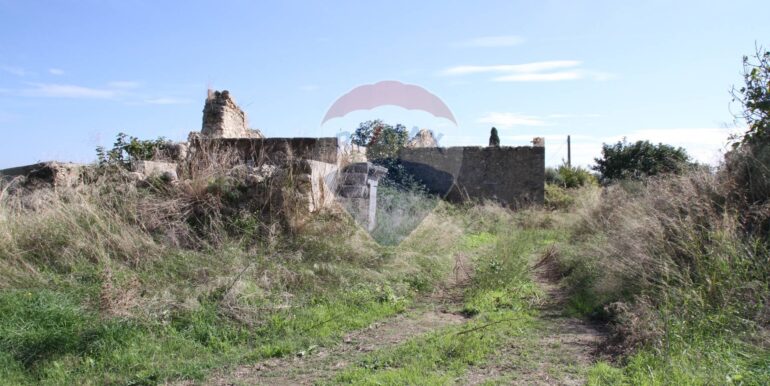 2025111180757-996849-11