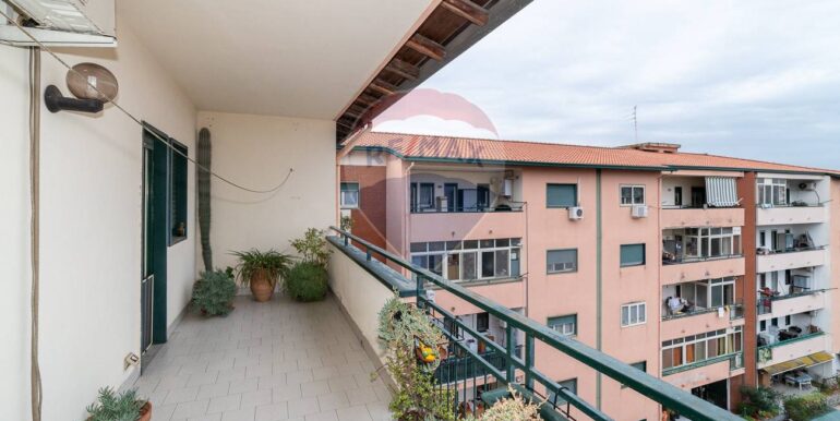 2025111182856-1000033-12