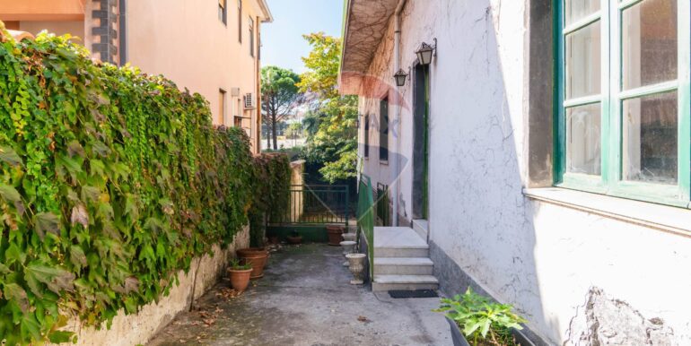 2025111192421-999332-29