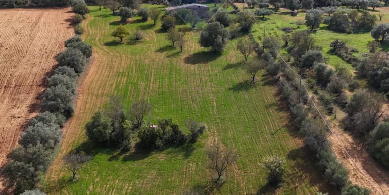 20251112120746-1000341-15