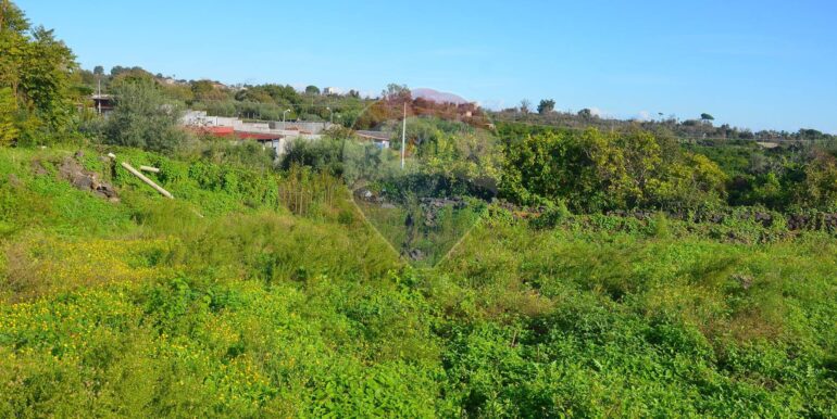 20251112165937-999349-6