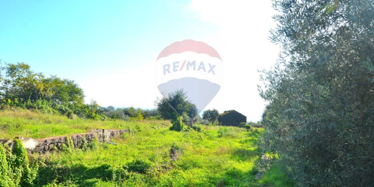 20251112170002-999349-13