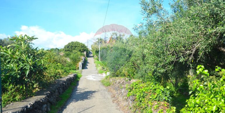 20251112170016-999349-17