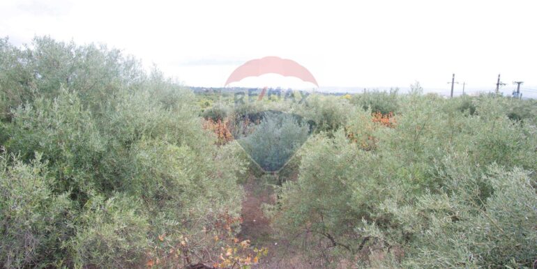 20251112170213-1000421-20