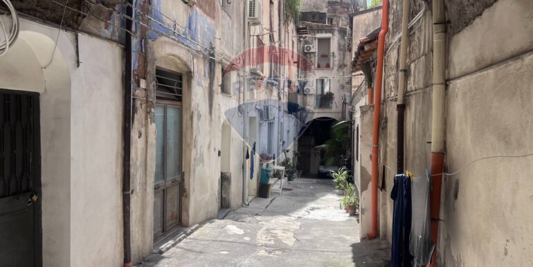 20251112183352-999758-20