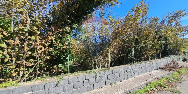 20251112194306-999747-4