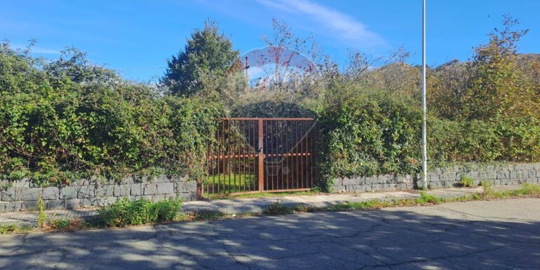 20251112194310-999747-5