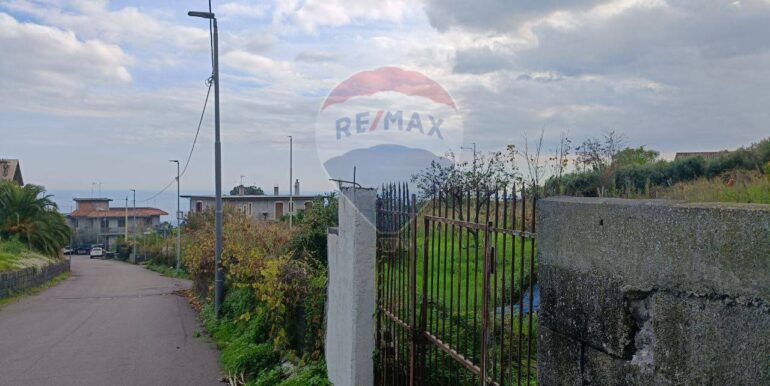 20251112205313-1000493-2