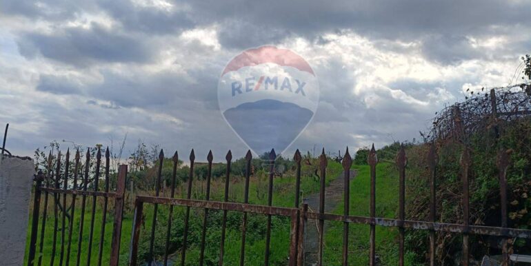 20251112205316-1000493-3