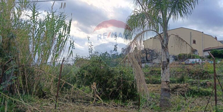 20251112205330-1000493-6