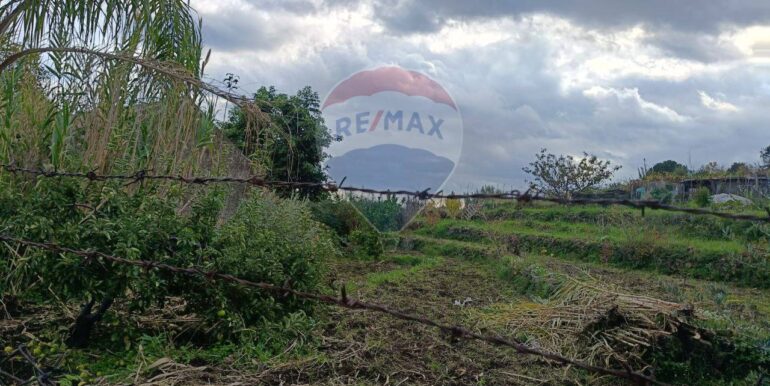 20251112205335-1000493-7