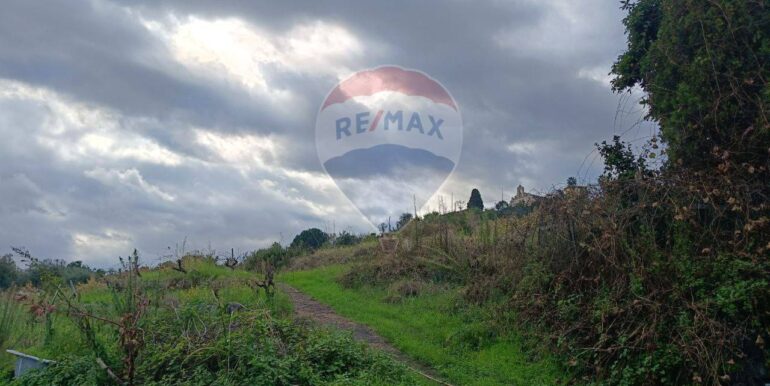 20251112205344-1000493-9