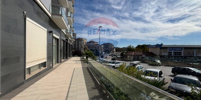 2025111281318-1000281-12