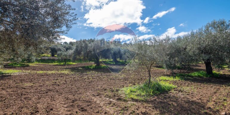 2025111300420-1000273-2