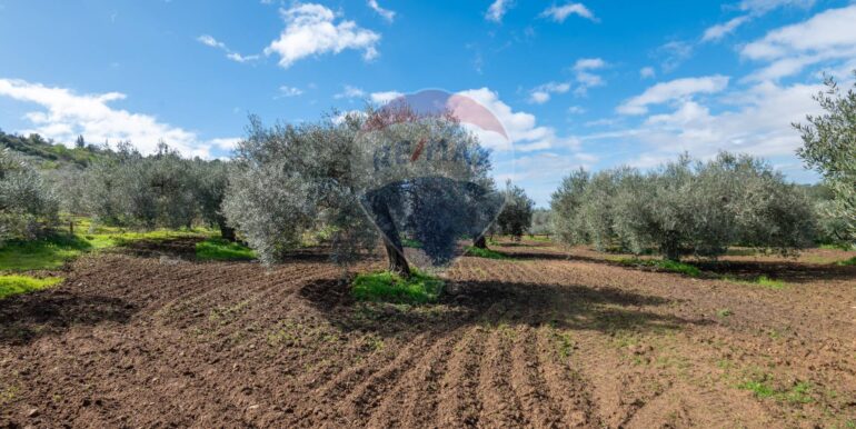 2025111300424-1000273-3