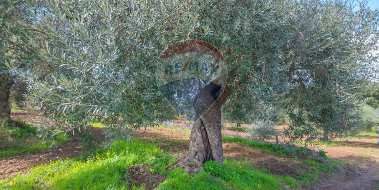 2025111300431-1000273-5