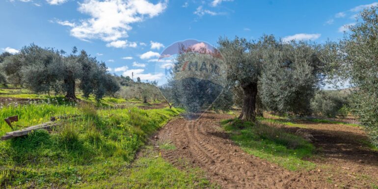 2025111300435-1000273-6