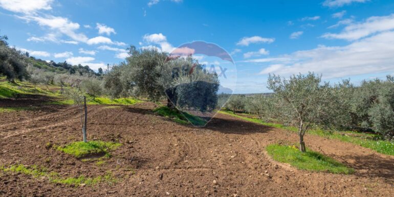 2025111300439-1000273-7