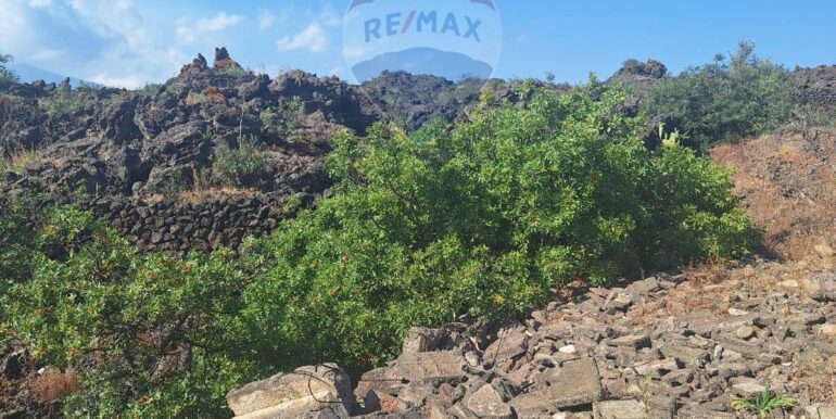 20251113104027-1000524-2