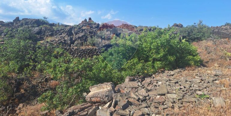 20251113104030-1000524-3