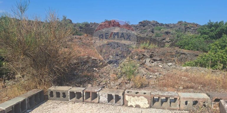 20251113104034-1000524-5