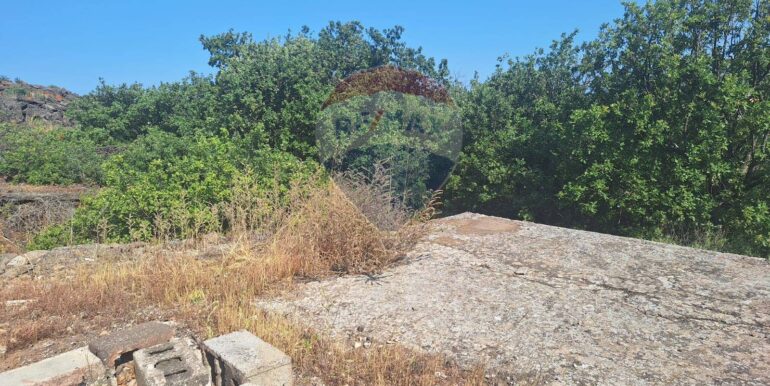 20251113104038-1000524-6