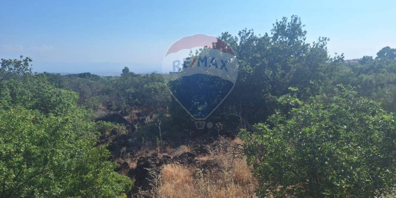 20251113104040-1000524-7