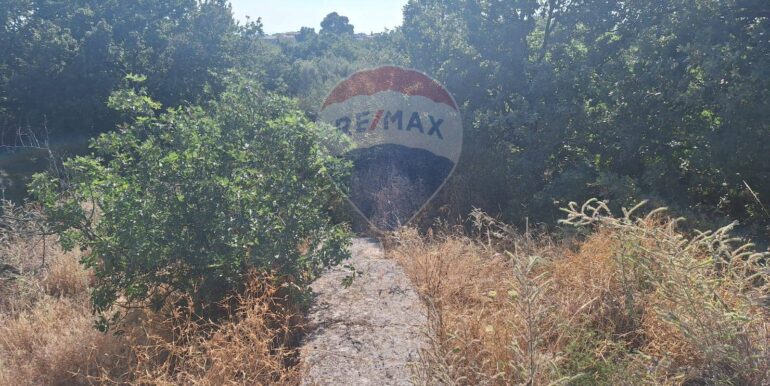 20251113104044-1000524-8