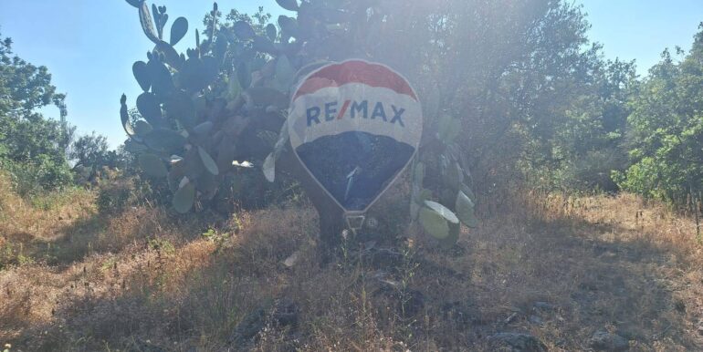 20251113104046-1000524-9