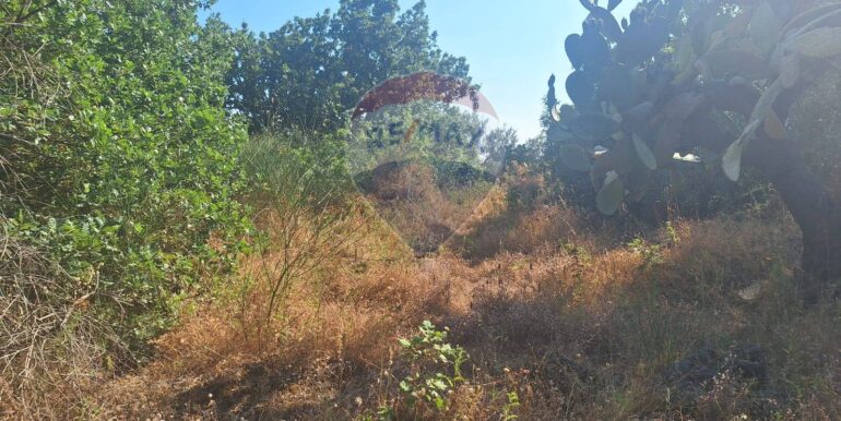 20251113104049-1000524-10