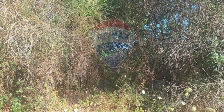 20251113104052-1000524-11