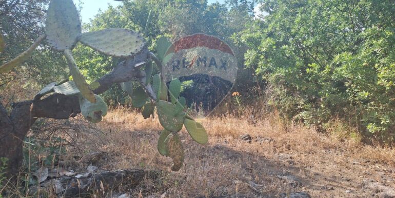 20251113104055-1000524-12