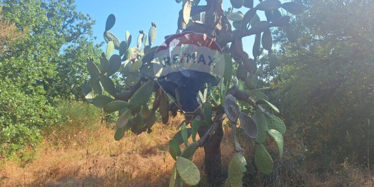 20251113104058-1000524-13