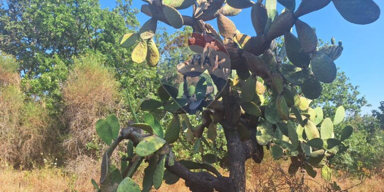 20251113104104-1000524-15