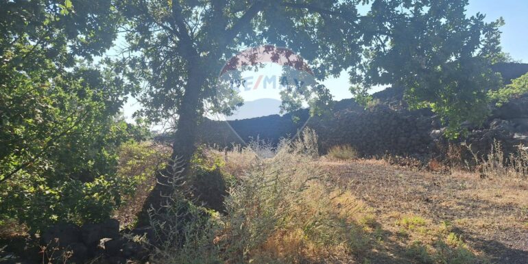 20251113104109-1000524-17