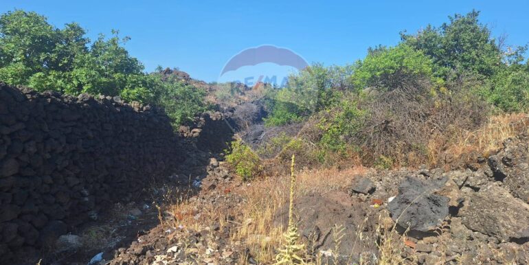 20251113104115-1000524-19