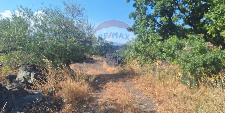 20251113104117-1000524-20