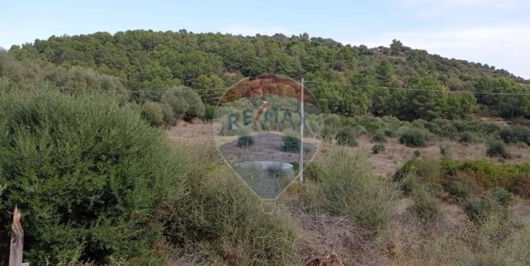 20251113114003-1000542-1