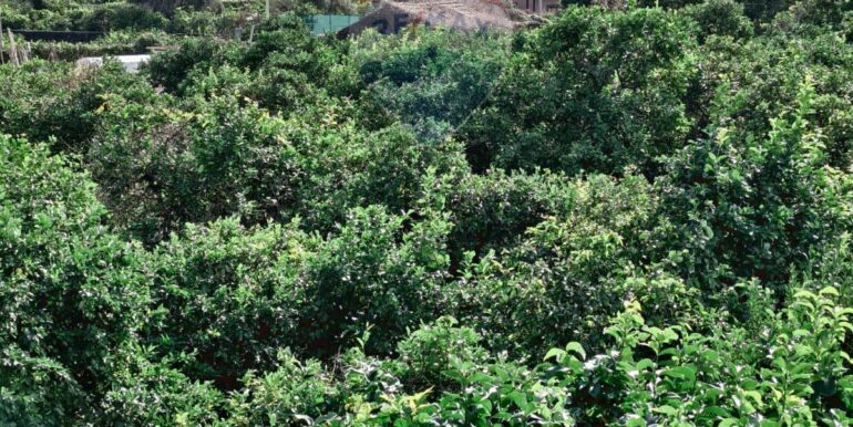 20251113163557-999281-18