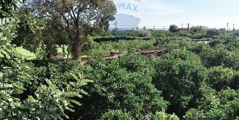 20251113163600-999281-19